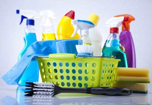 Accessibility statement introduction for Redbridge Carpet Cleaners