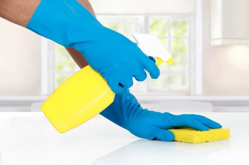 Upholstery and carpet stain treatment in Redbridge