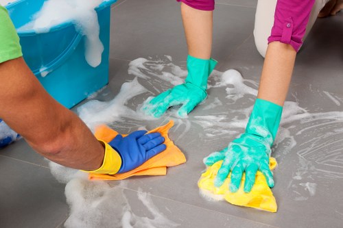 Professional carpet cleaners introducing Redbridge Carpet Cleaners service values