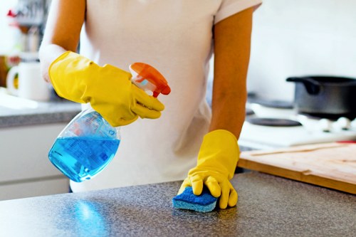 Professional steam carpet cleaning in a Redbridge home living room