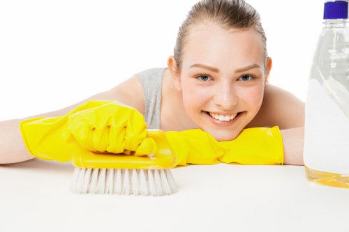 Redbridge upholstery cleaning service restoring a sofa and cushions