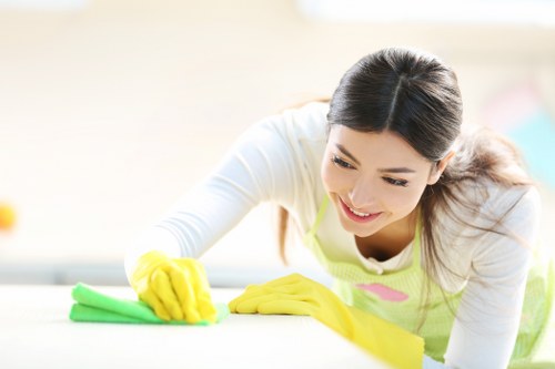 Enzyme cleaning treatment for pet odour stains in Redbridge