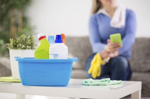 Modern carpet cleaning equipment used in Redbridge property