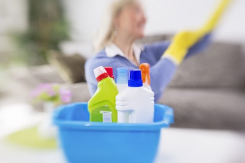 Redbridge Carpet Cleaners emphasizing professionalism, care, and lasting results