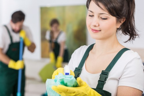 Deep mattress cleaning process removing dust and stains in Redbridge