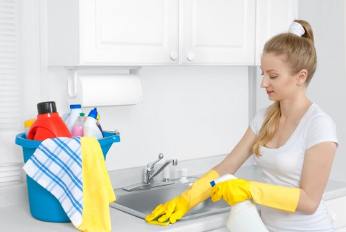Professional carpet cleaning review and resolution process